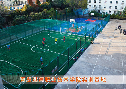 ​谈球吧为青岛港湾职业技术学院打造健身实训基地